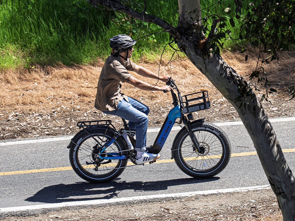 Heybike Horizon